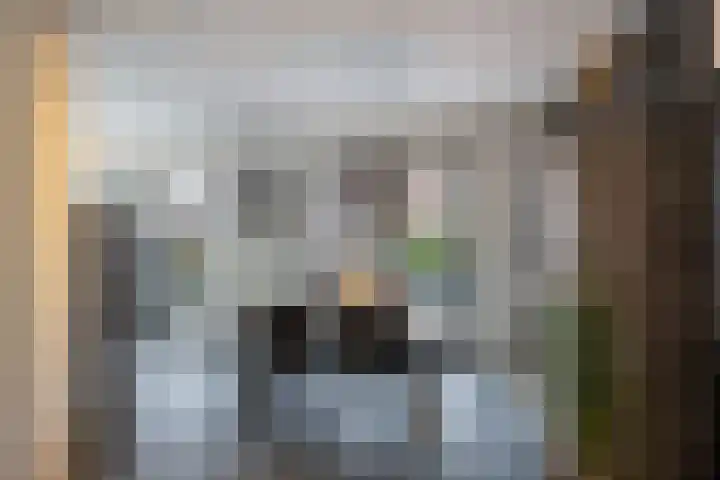 Tienhoven 8 Sint-Annaland thumbnail 14