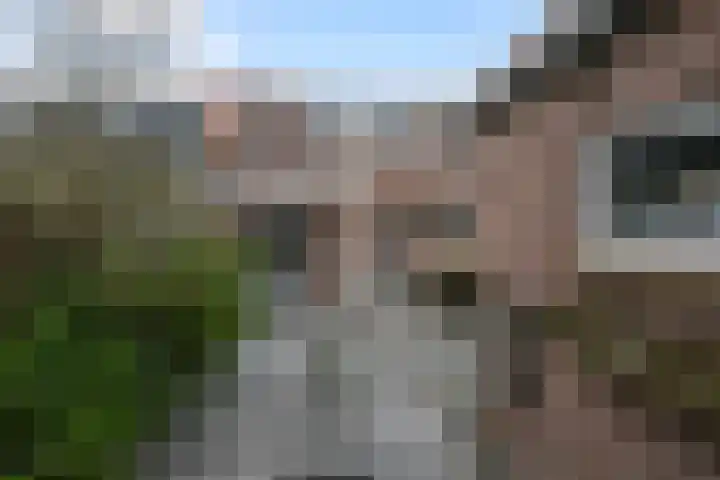 Tienhoven 8 Sint-Annaland thumbnail 35