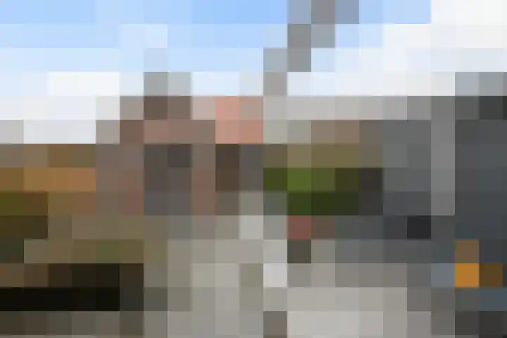 Tienhoven 8 Sint-Annaland thumbnail 5