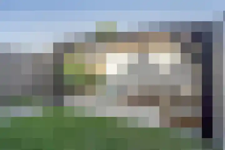 Tienhoven 88 Sint-Annaland thumbnail 29
