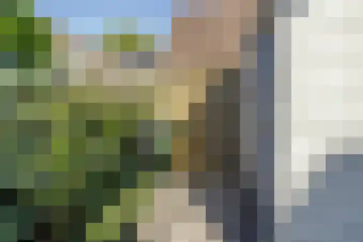 Tienhoven 88 Sint-Annaland thumbnail 31