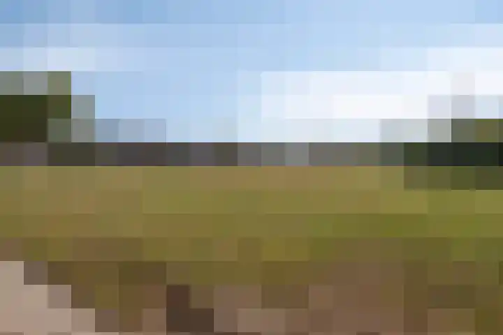 Tienhoven 88 Sint-Annaland thumbnail 34