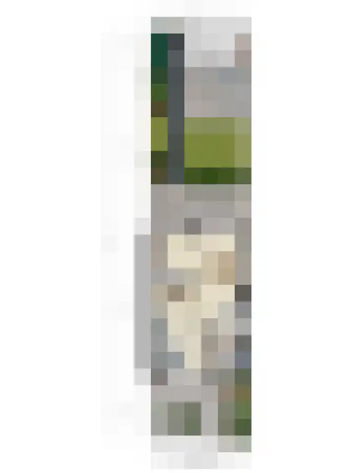 Tienhoven 88 Sint-Annaland thumbnail 38
