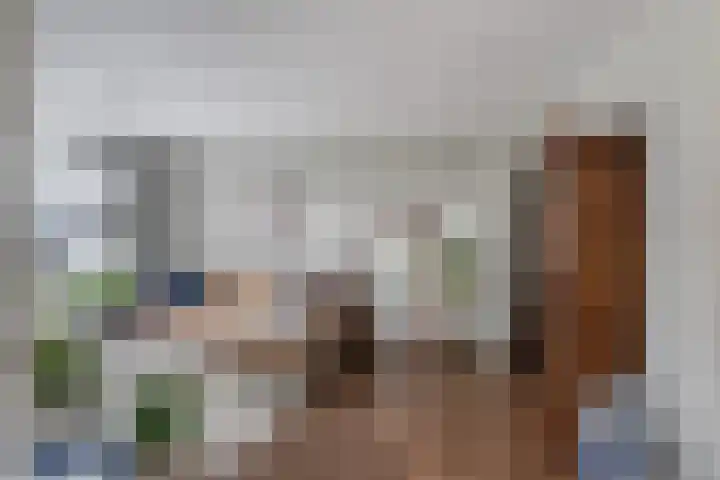 Tienhoven 90 Sint-Annaland thumbnail 11
