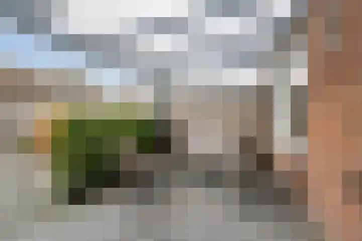 Tienhoven 90 Sint-Annaland thumbnail 25