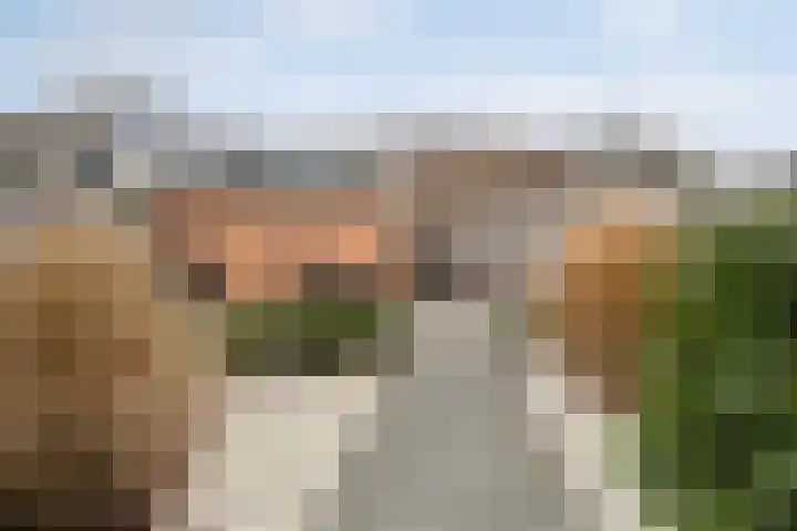 Tienhoven 90 Sint-Annaland thumbnail 27