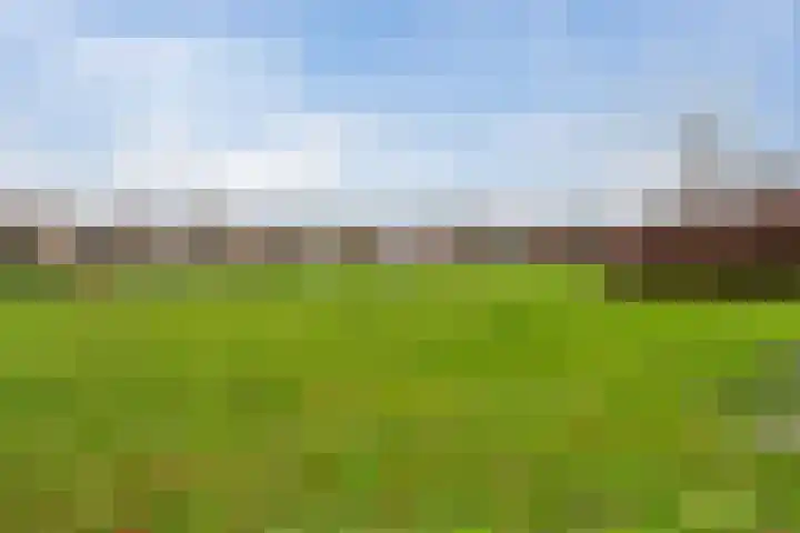 Tienhoven 90 Sint-Annaland thumbnail 29