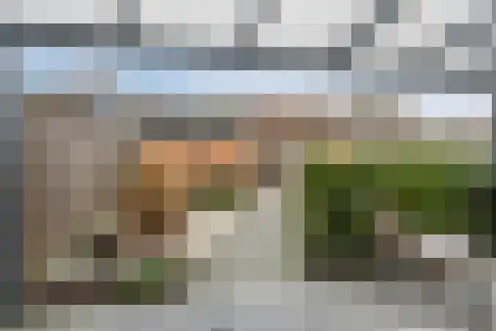 Tienhoven 90 Sint-Annaland thumbnail 5