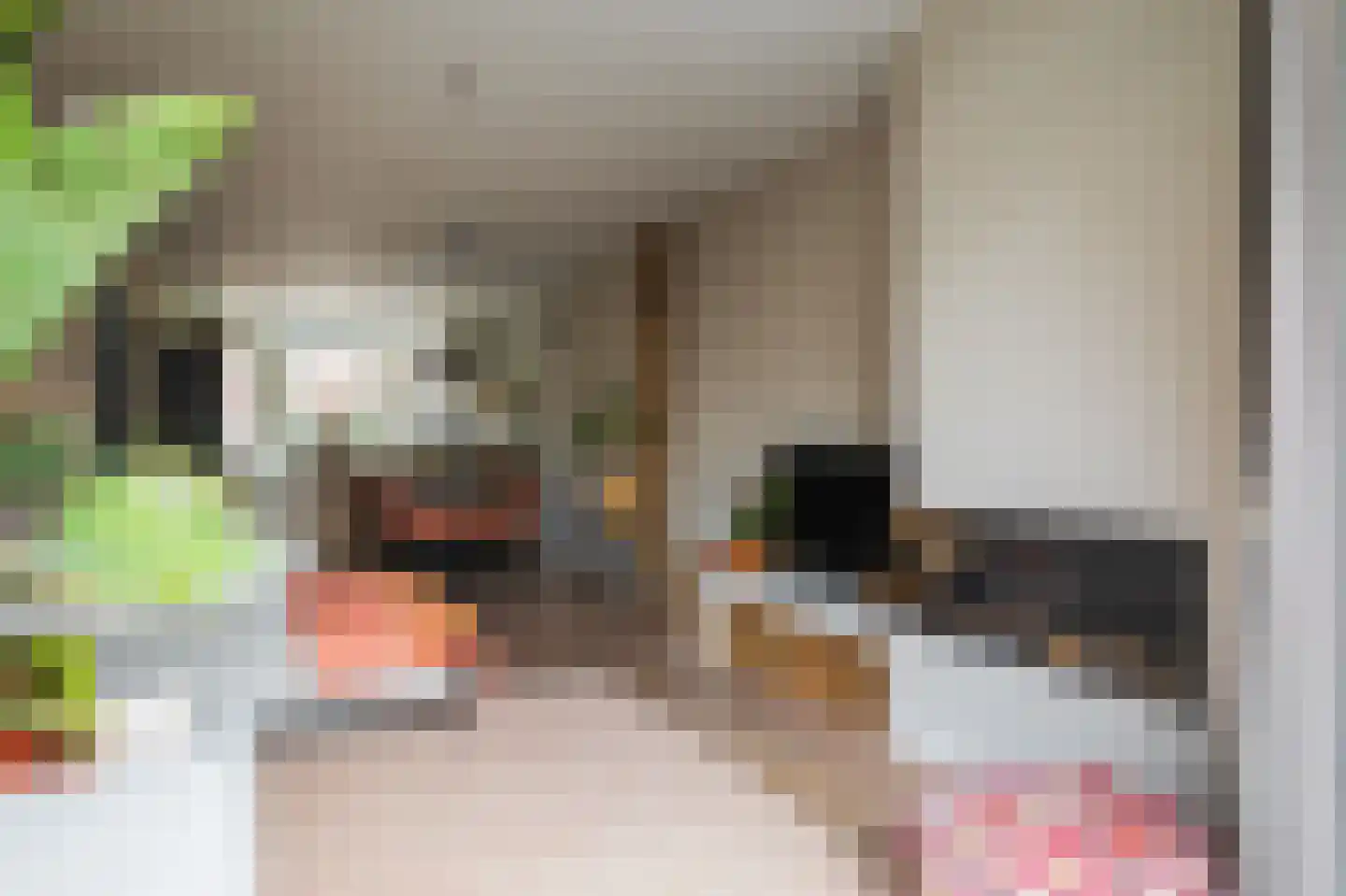 Tienhovenselaan 11 Den Haag thumbnail 14