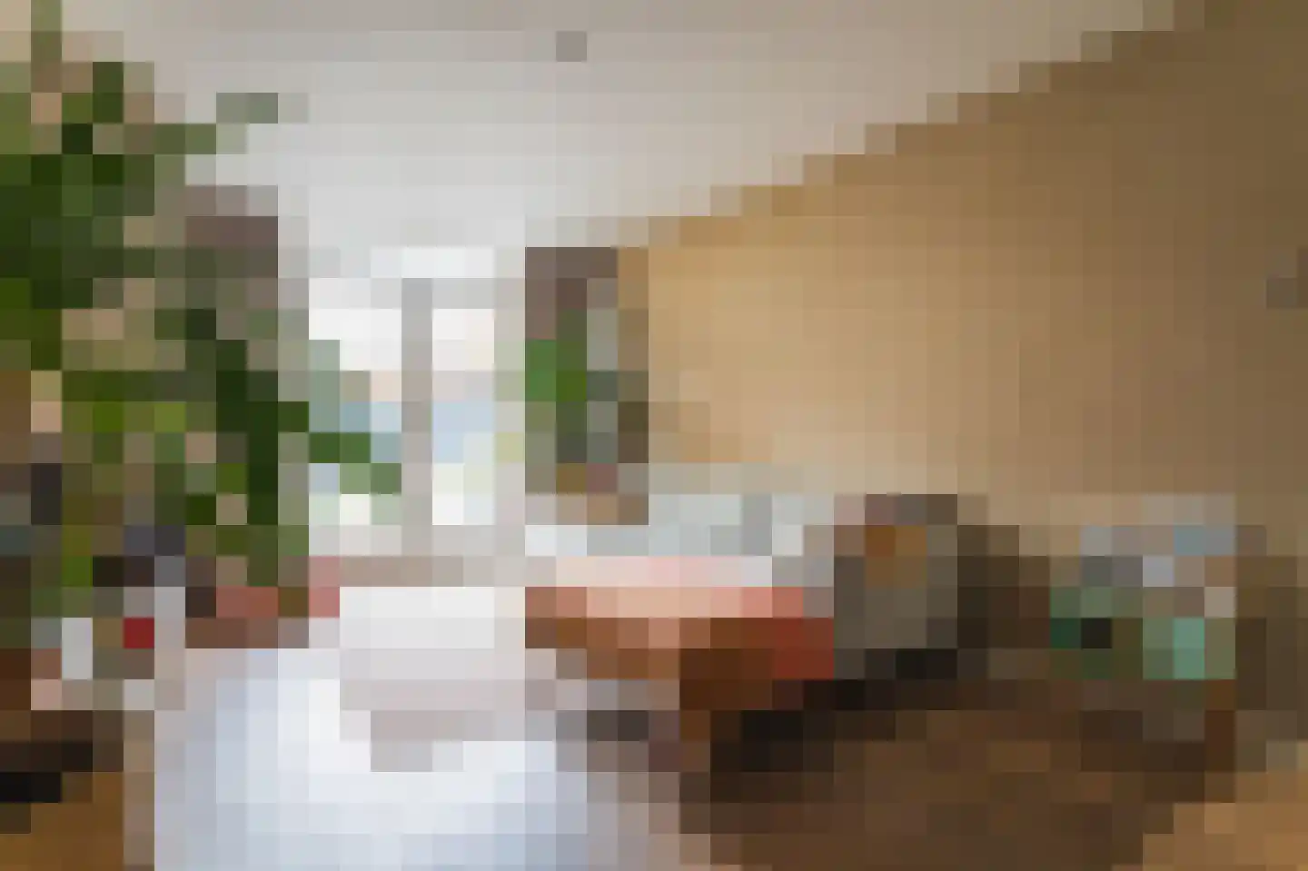 Tienhovenselaan 11 Den Haag thumbnail 17