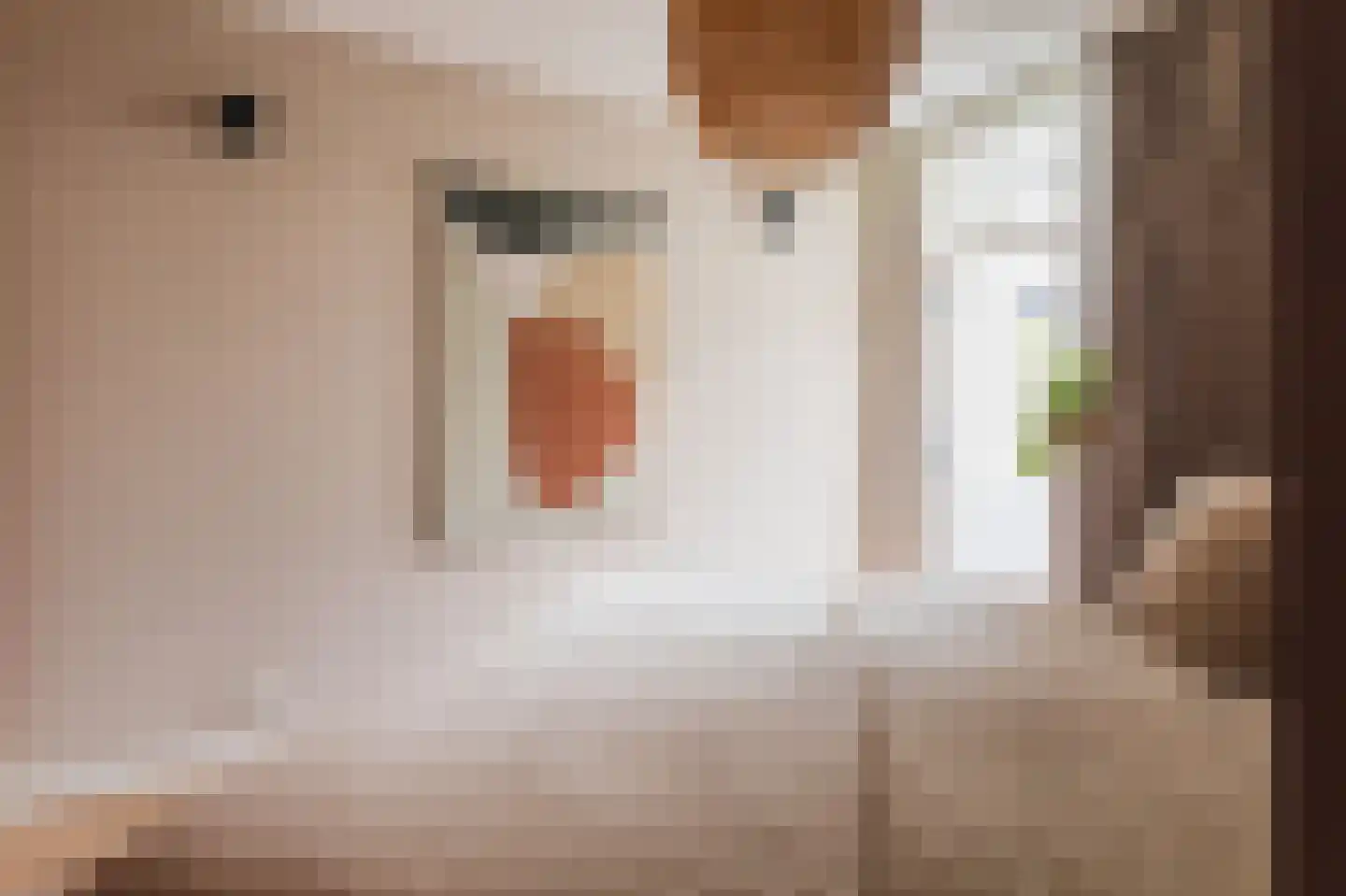 Tienhovenselaan 11 Den Haag thumbnail 27