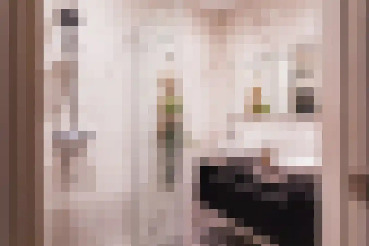 Tienhovenselaan 11 Den Haag thumbnail 31