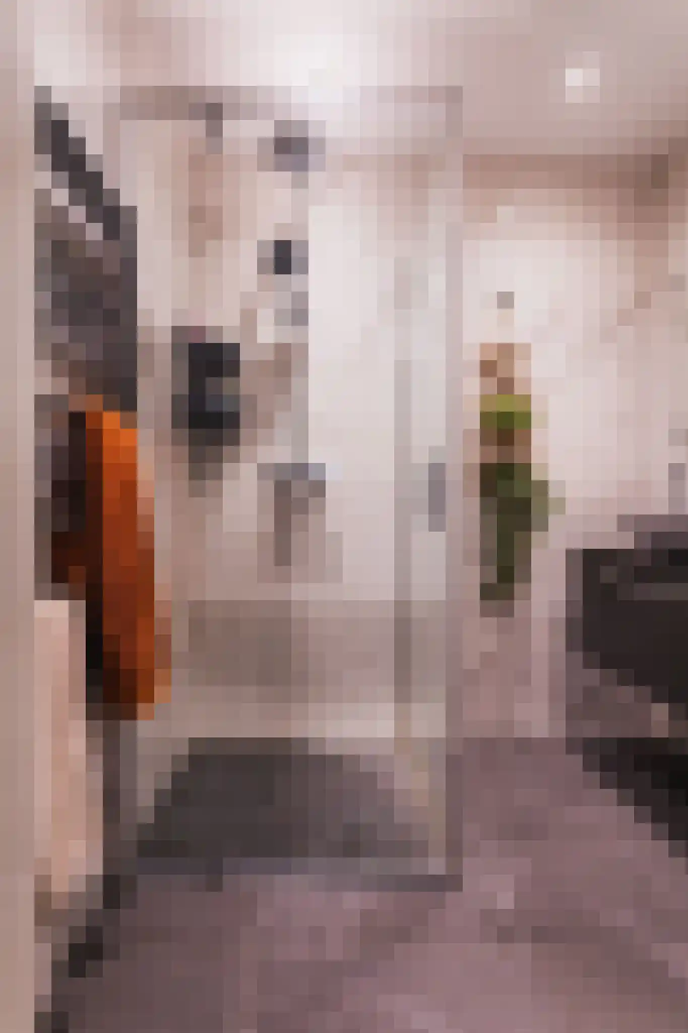 Tienhovenselaan 11 Den Haag thumbnail 33
