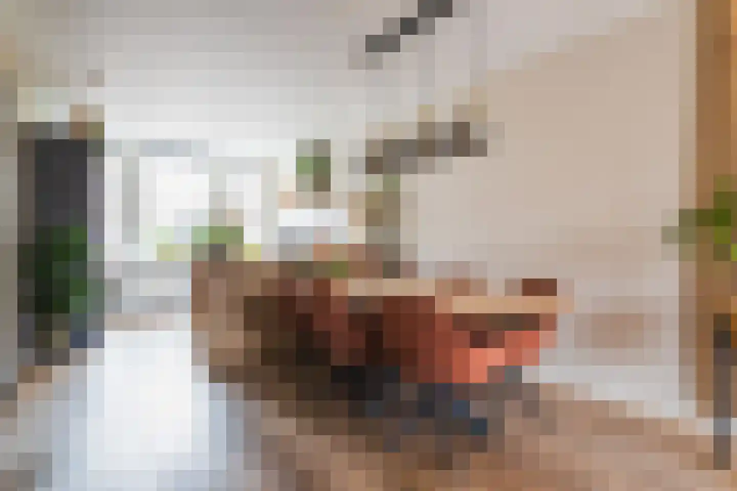 Tienhovenselaan 11 Den Haag thumbnail 7