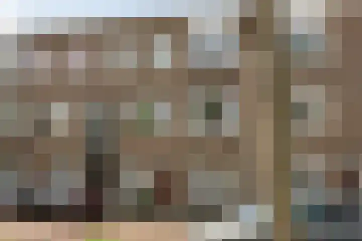 Tienhovenselaan 27 Den Haag thumbnail 31