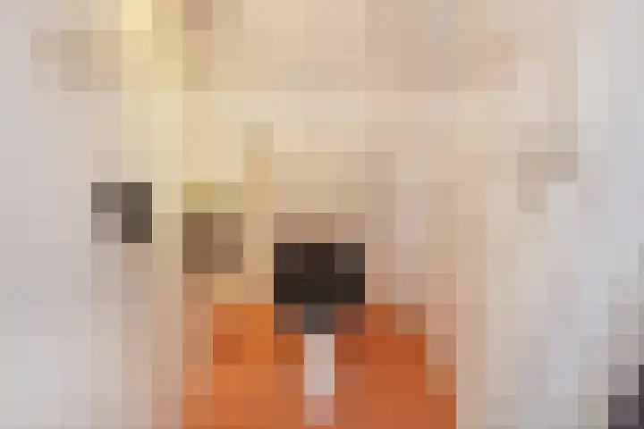 Tienhovenselaan 29 Den Haag thumbnail 12