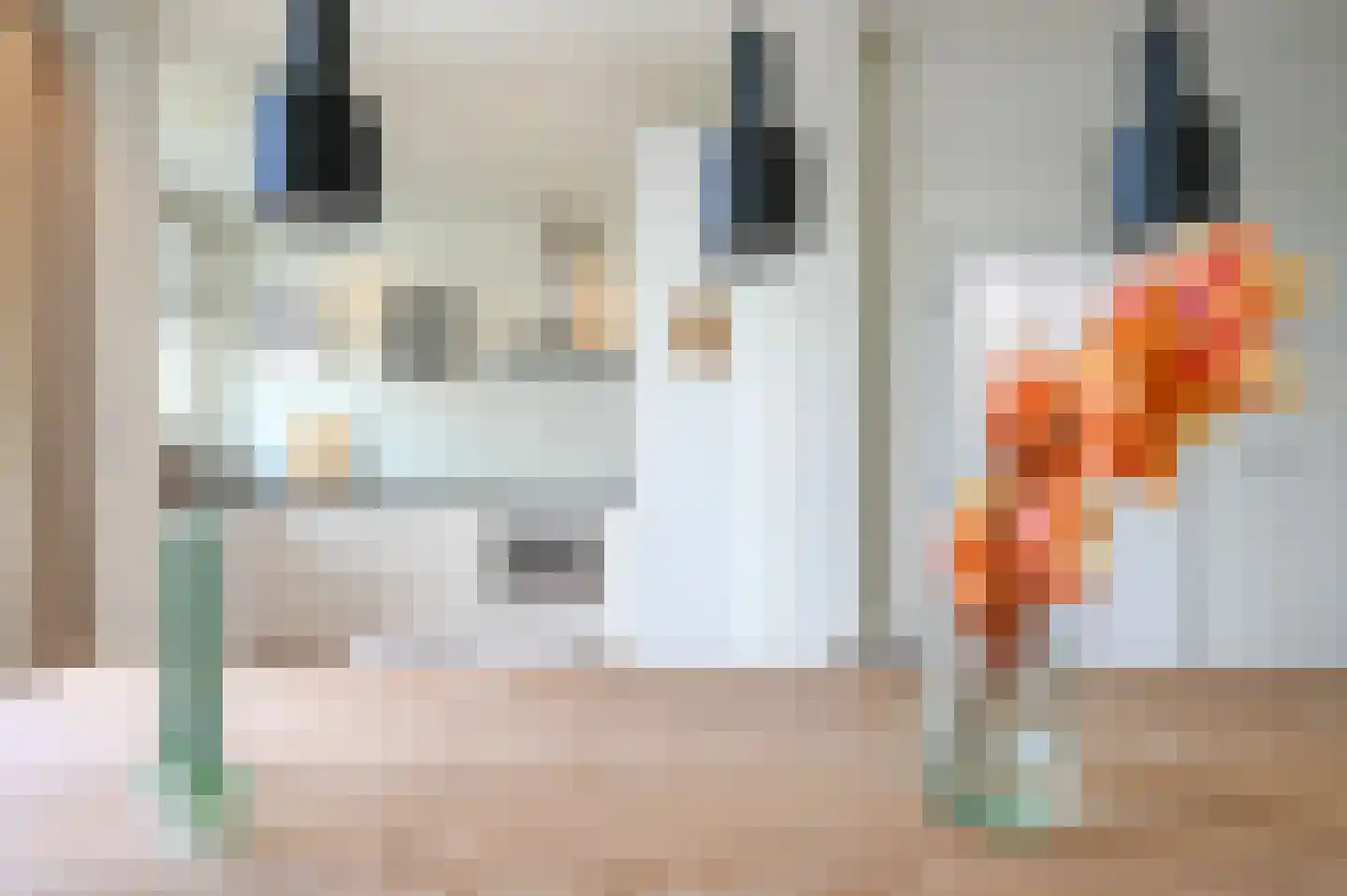 Tienhovenselaan 33 Den Haag thumbnail 19