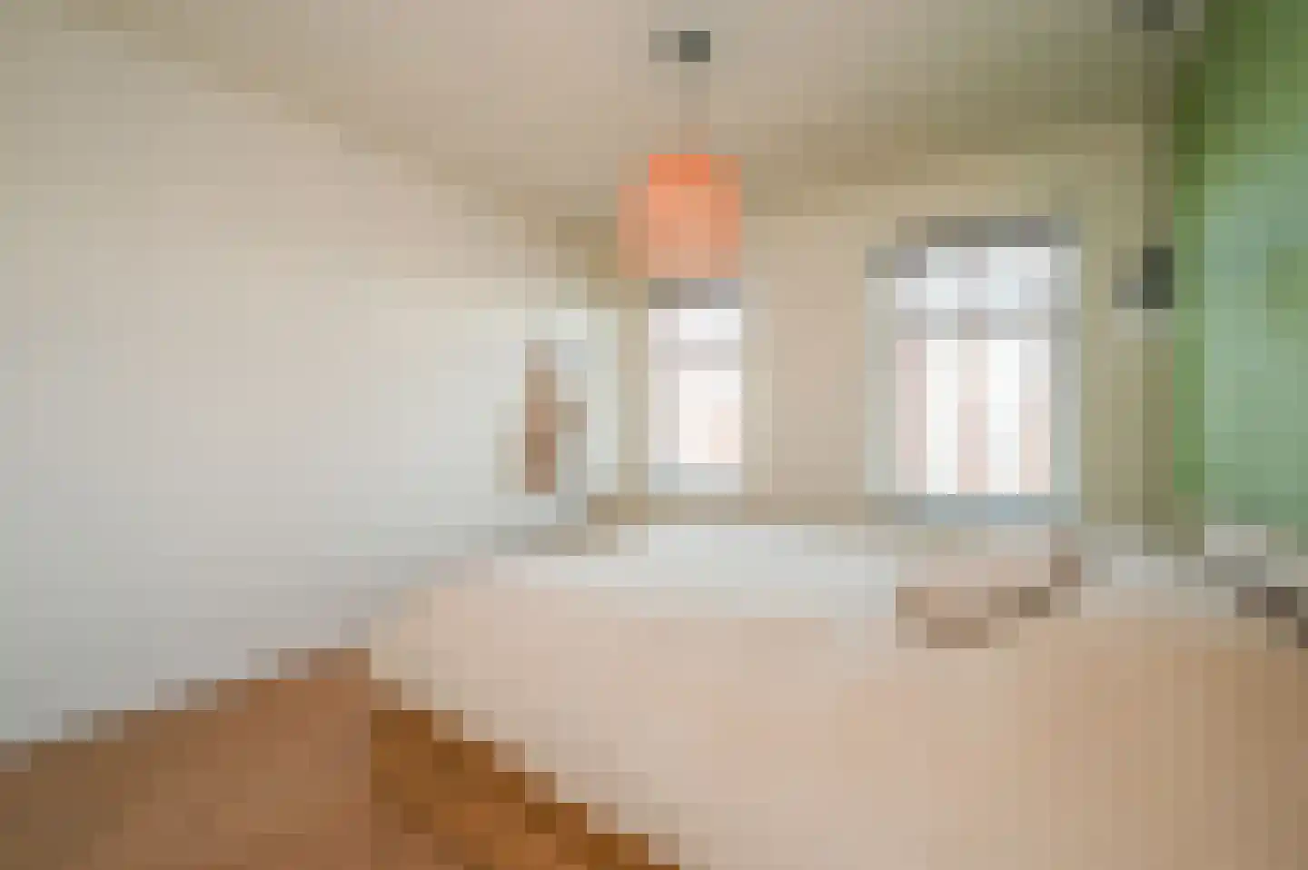 Tienhovenselaan 33 Den Haag thumbnail 32