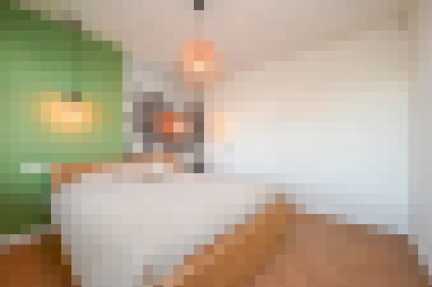 Tienhovenselaan 33 Den Haag thumbnail 34
