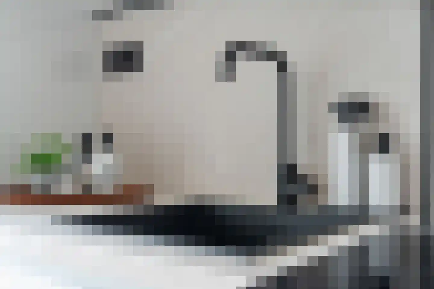 Tienhovenselaan 35 Den Haag thumbnail 18