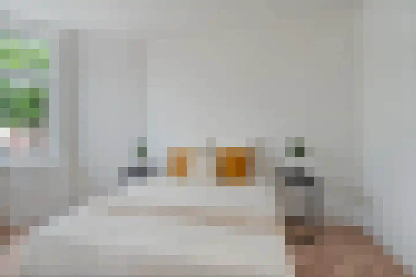 Tienhovenselaan 35 Den Haag thumbnail 25