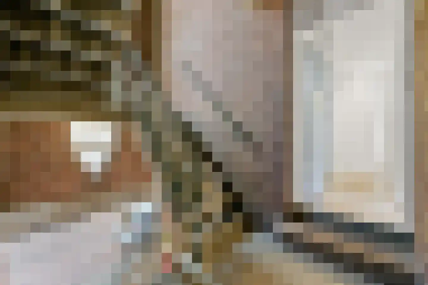 Tienhovenselaan 4 Den Haag thumbnail 18