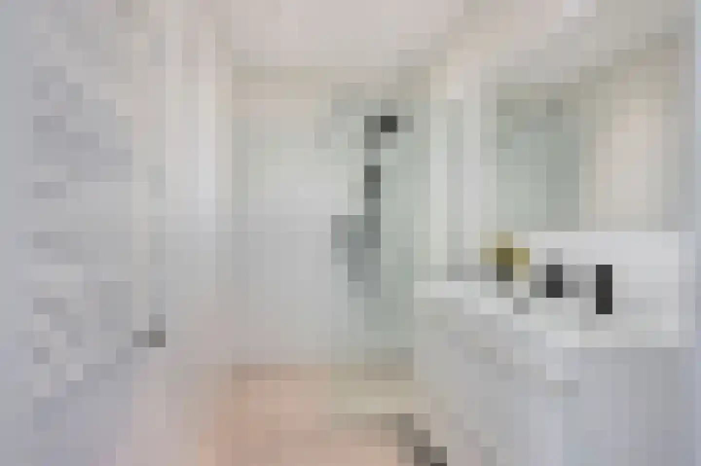 Tienhovenselaan 57 Den Haag thumbnail 17