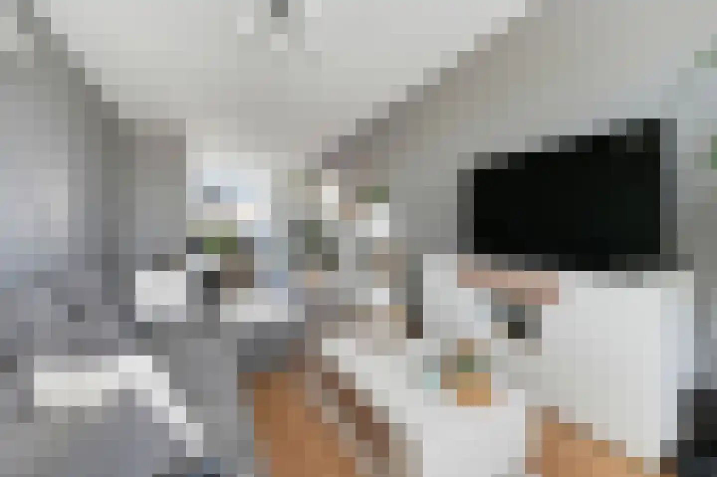 Tienhovenselaan 57 Den Haag thumbnail 4