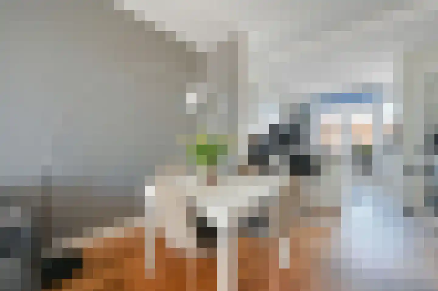 Tienhovenselaan 57 Den Haag thumbnail 6