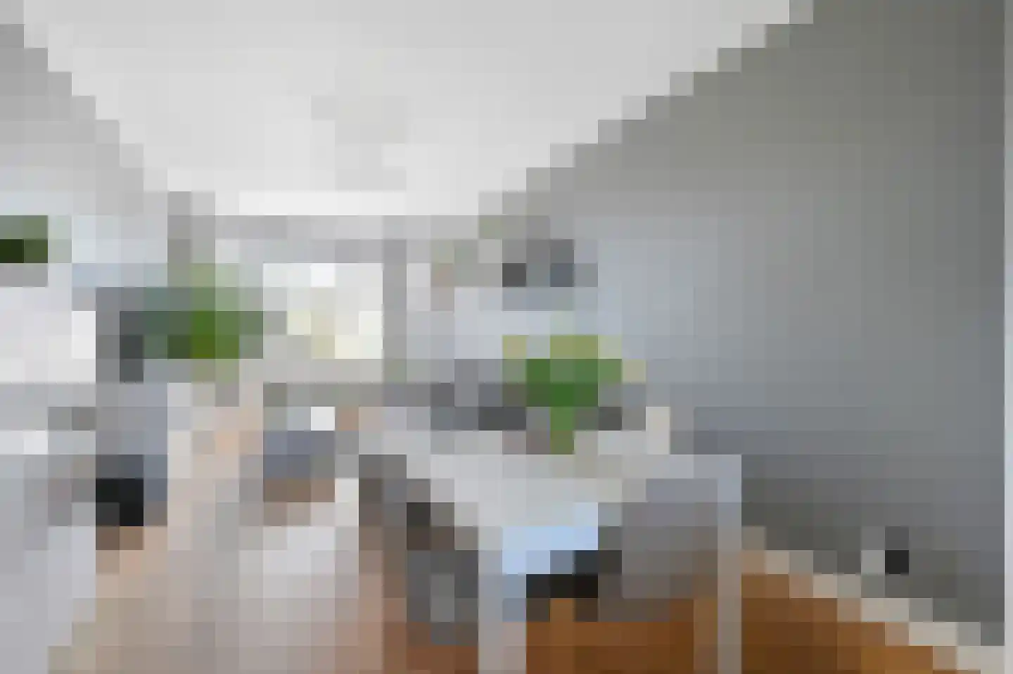 Tienhovenselaan 57 Den Haag thumbnail 7