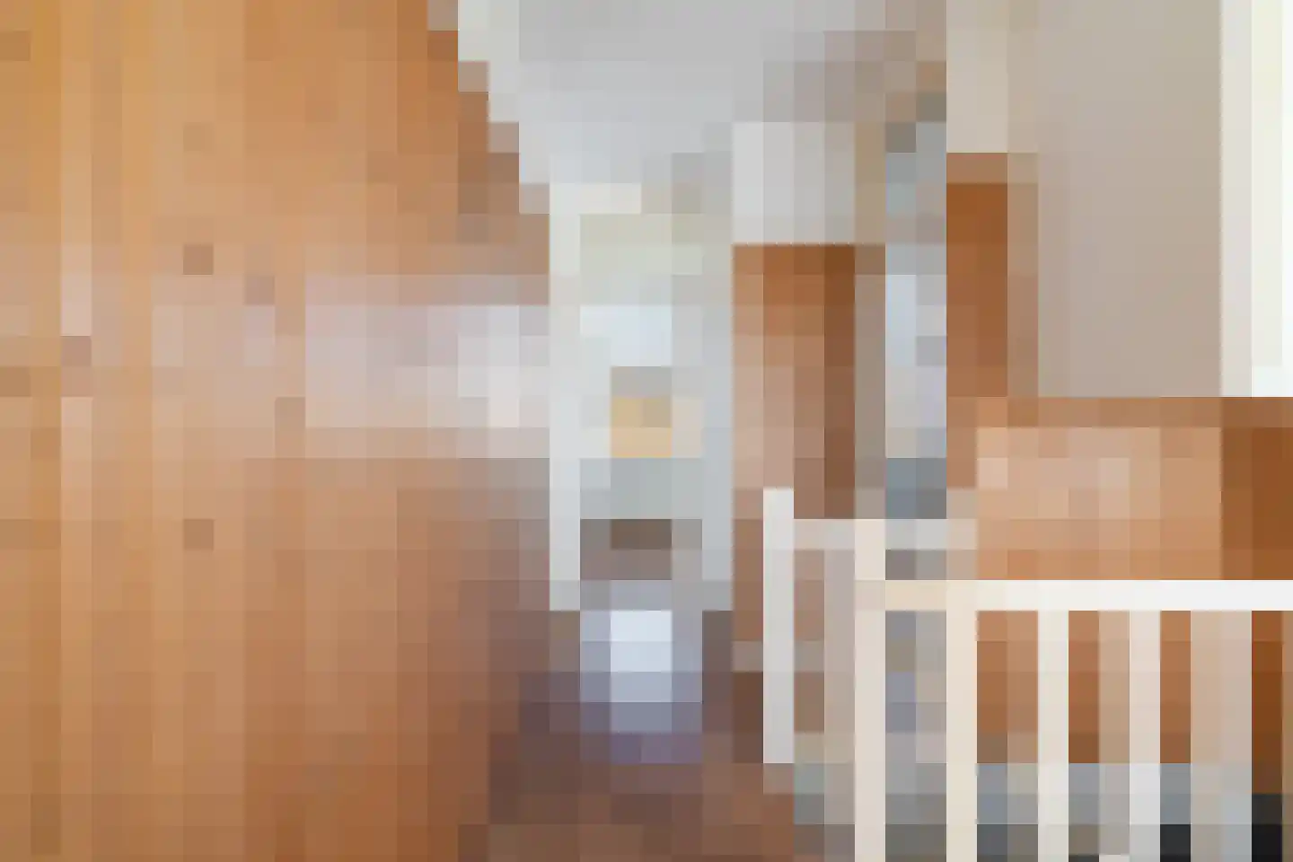 Tienhovenselaan 58 Den Haag thumbnail 4