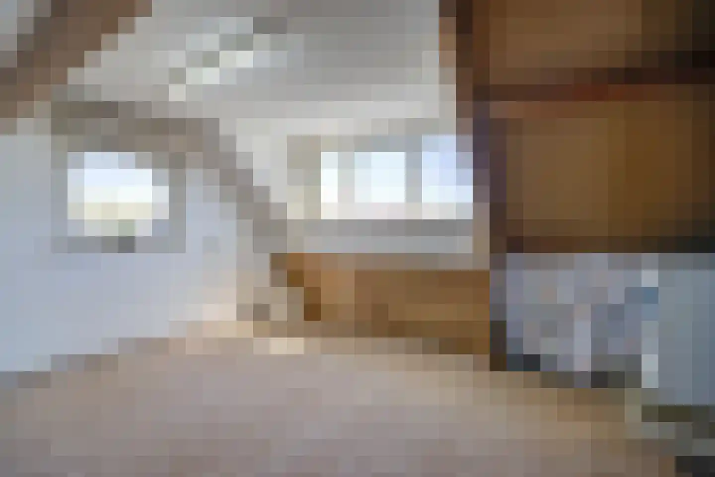 Tienkamp 11 Etten-Leur thumbnail 31