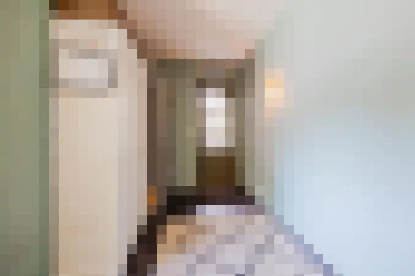 Tienrayseweg 34 Horst thumbnail 22