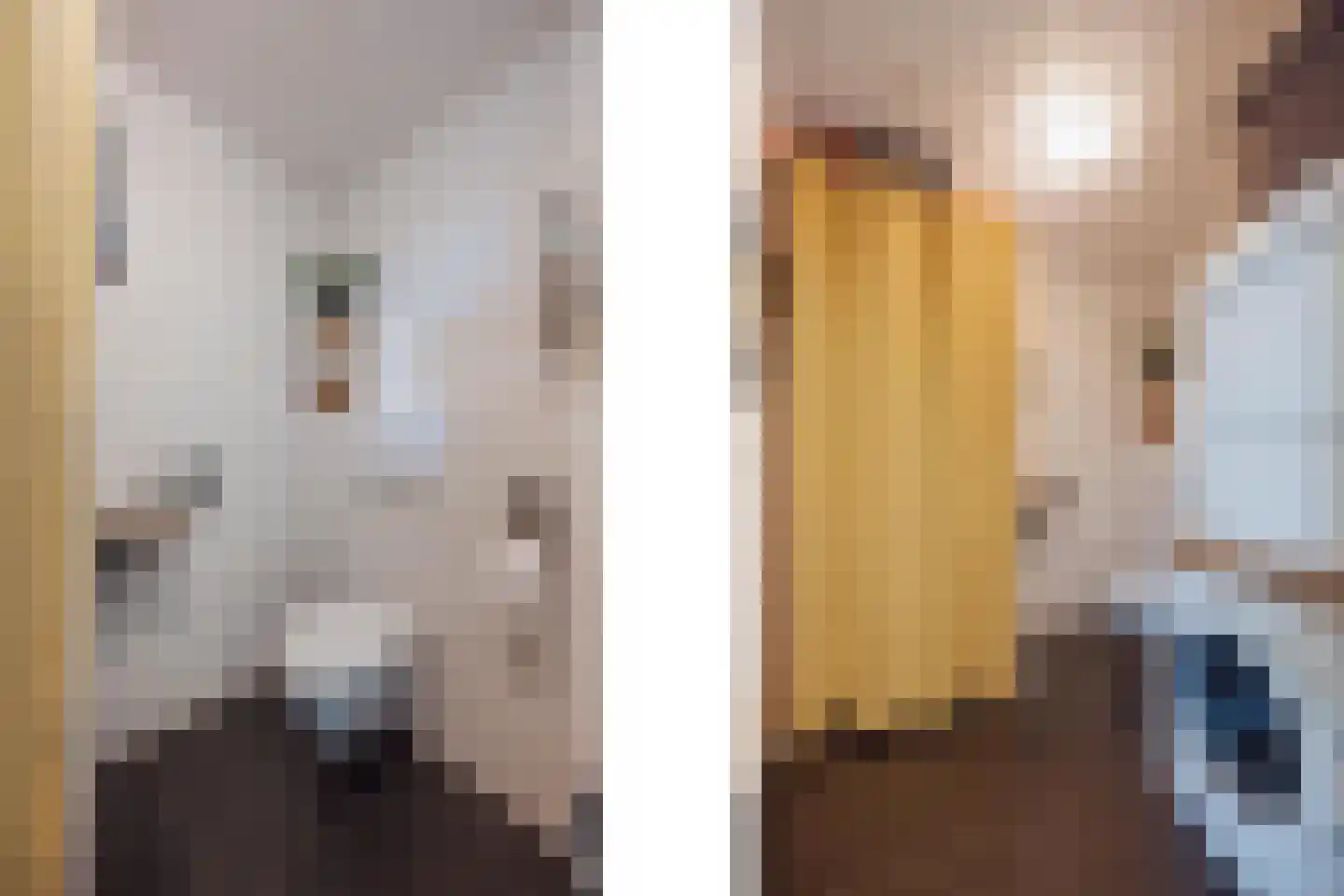 Tienrayseweg 34 Horst thumbnail 24