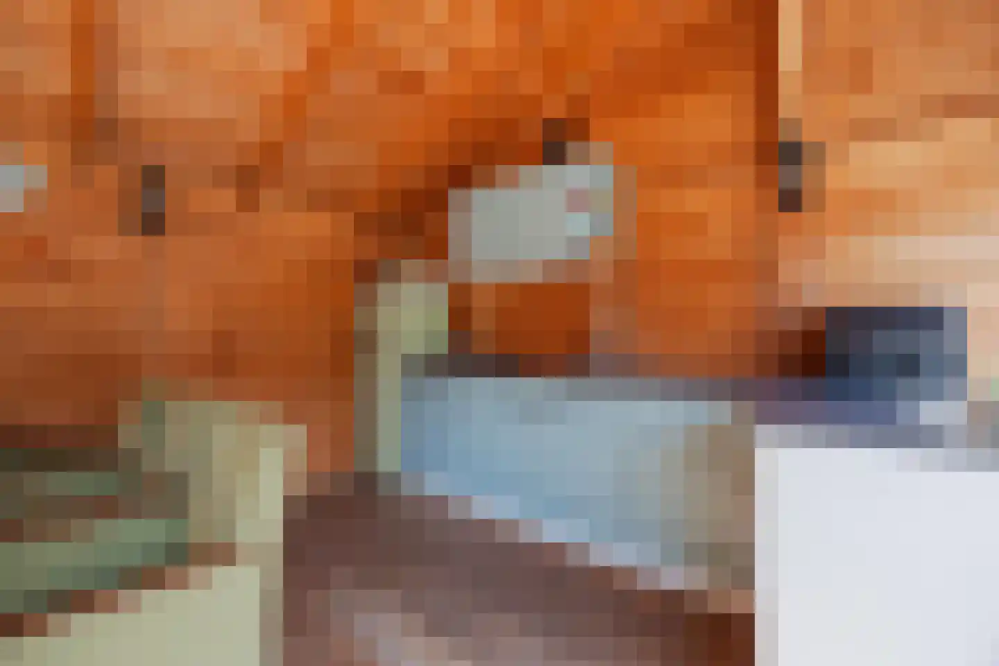 Tienrayseweg 34 Horst thumbnail 46