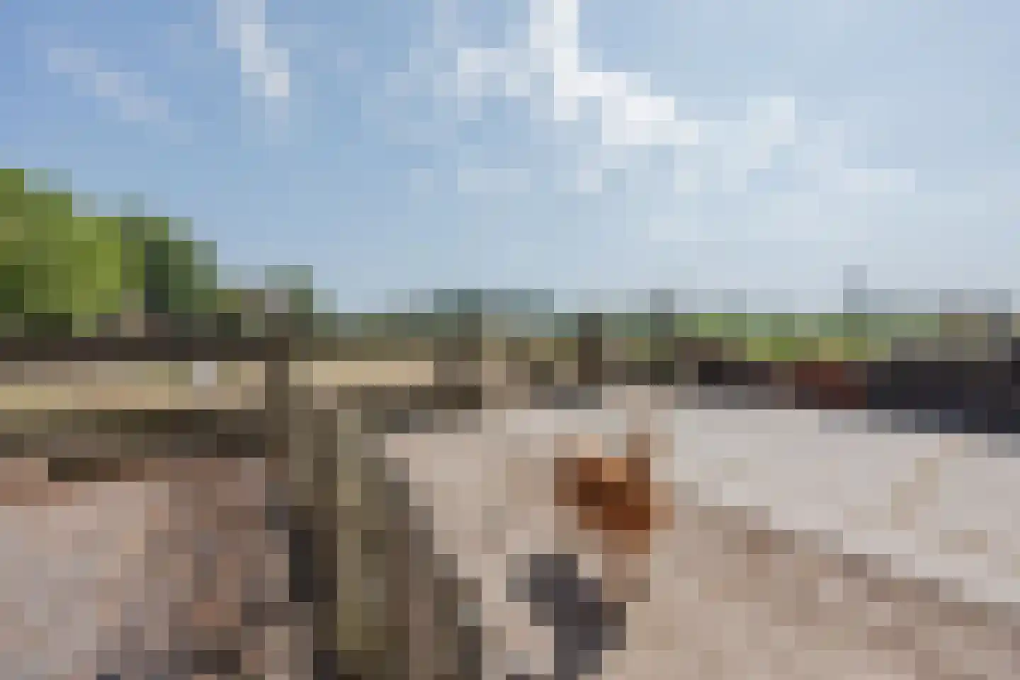 Tienrayseweg 34 Horst thumbnail 56