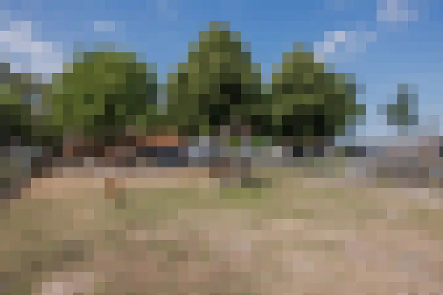 Tienrayseweg 34 Horst thumbnail 57