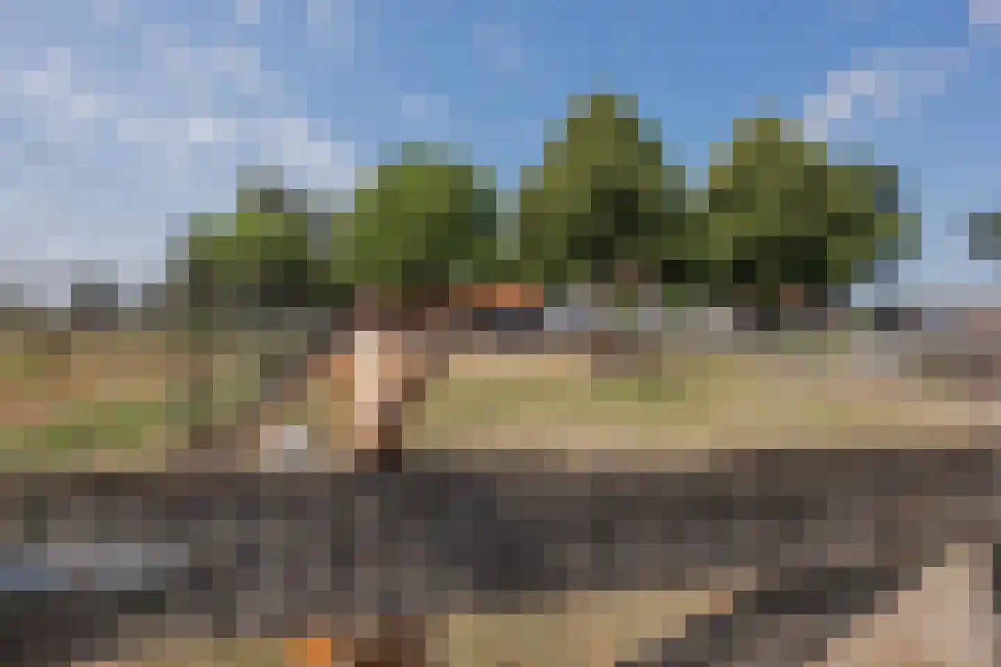 Tienrayseweg 34 Horst thumbnail 58