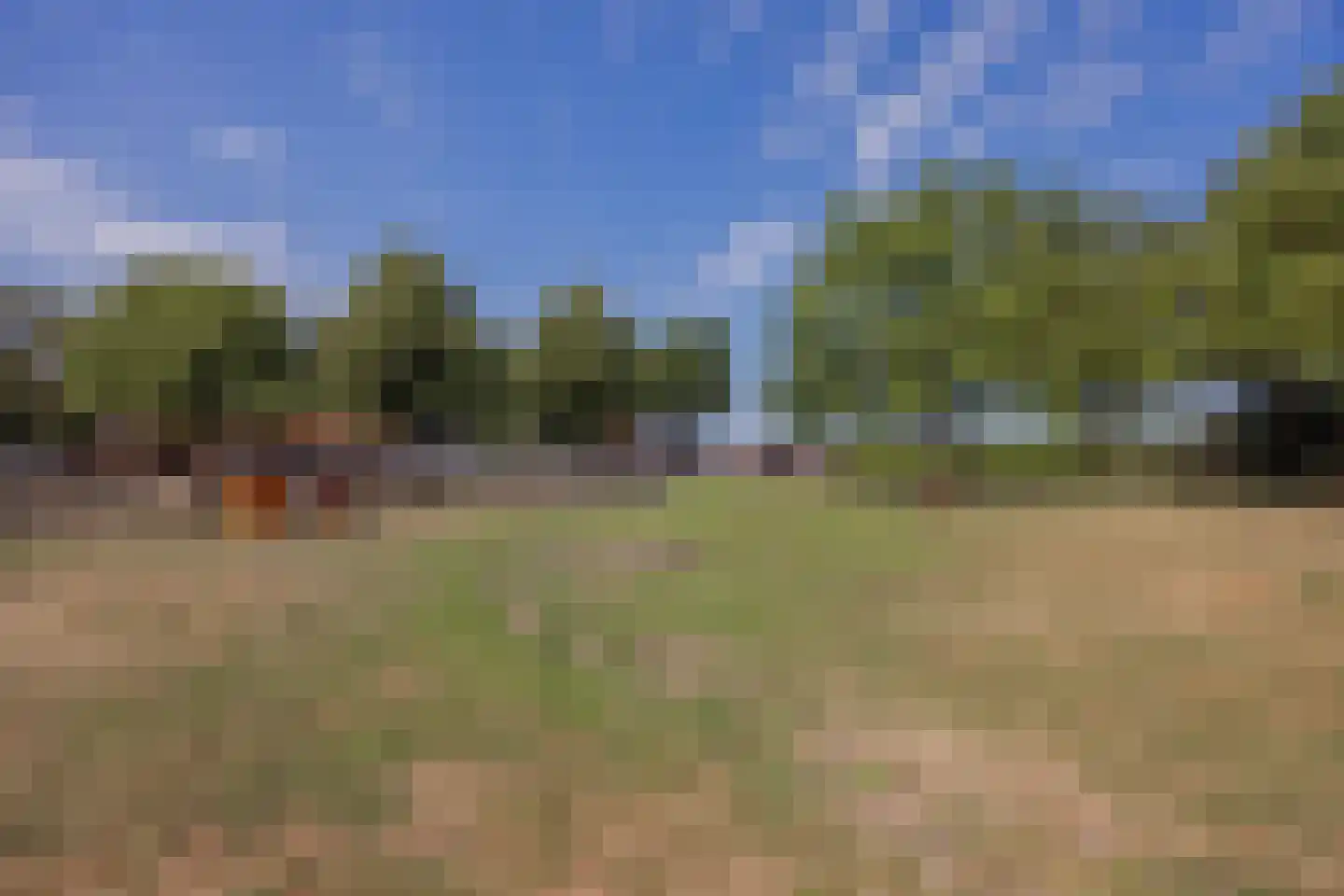 Tienrayseweg 34 Horst thumbnail 59