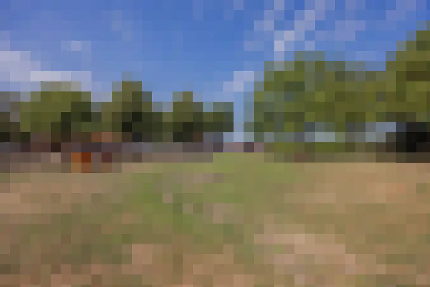 Tienrayseweg 34 Horst thumbnail 6