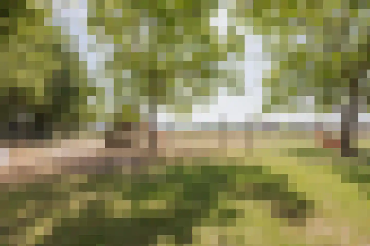 Tienrayseweg 34 Horst thumbnail 61