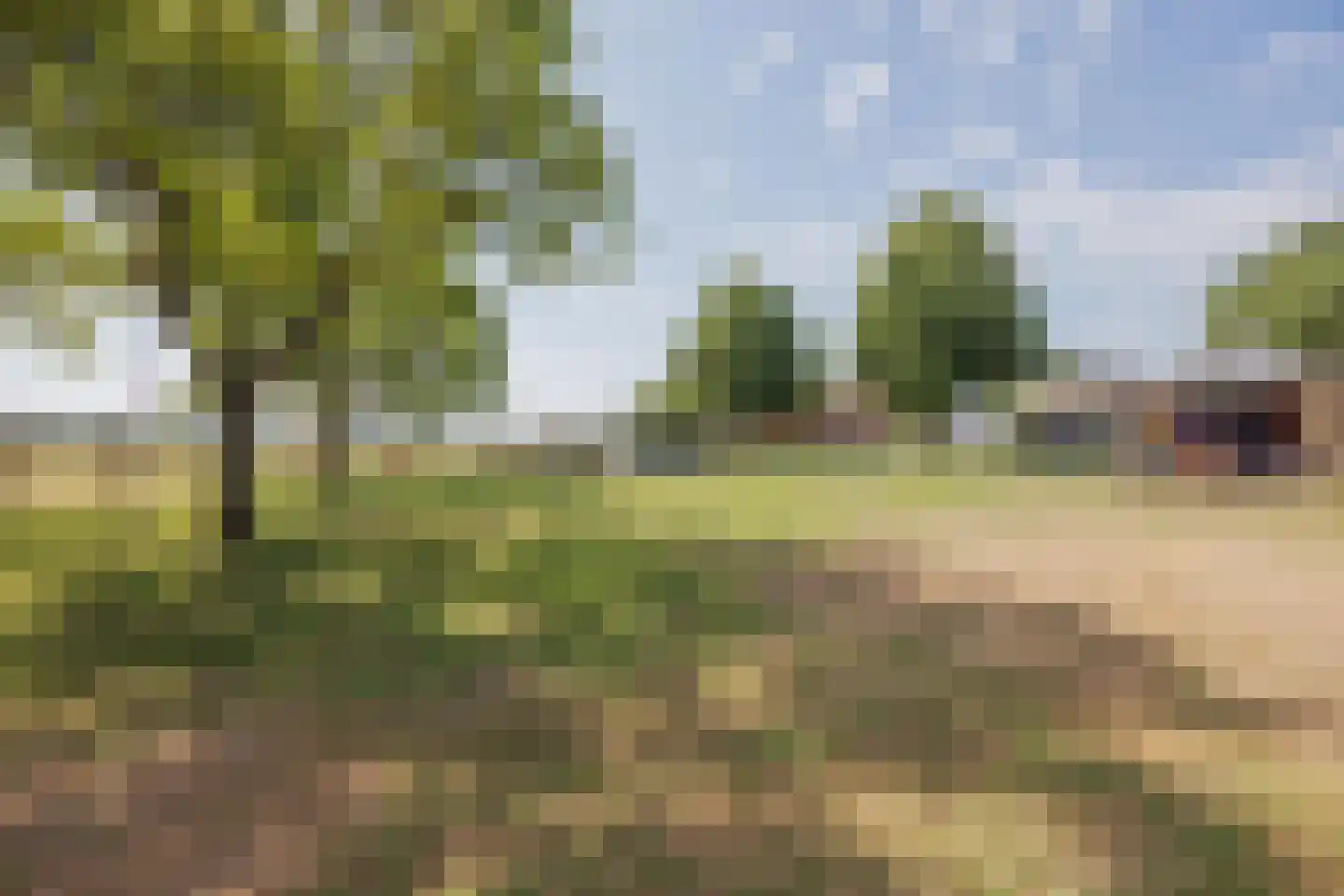 Tienrayseweg 34 Horst thumbnail 62