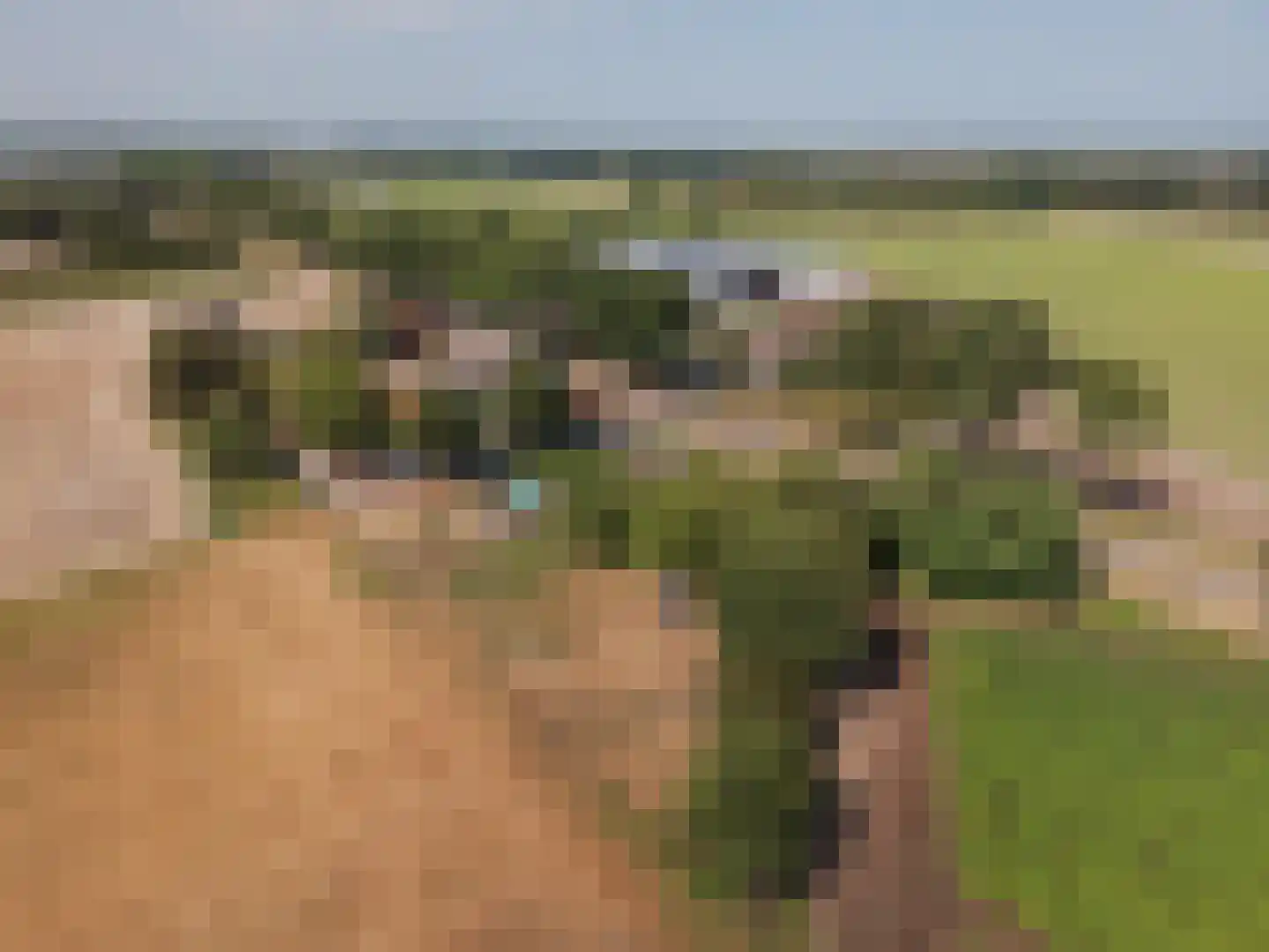 Tienrayseweg 34 Horst thumbnail 65