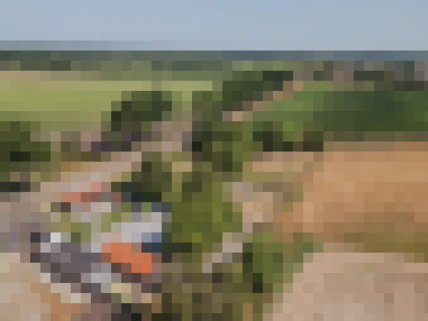Tienrayseweg 34 Horst thumbnail 67