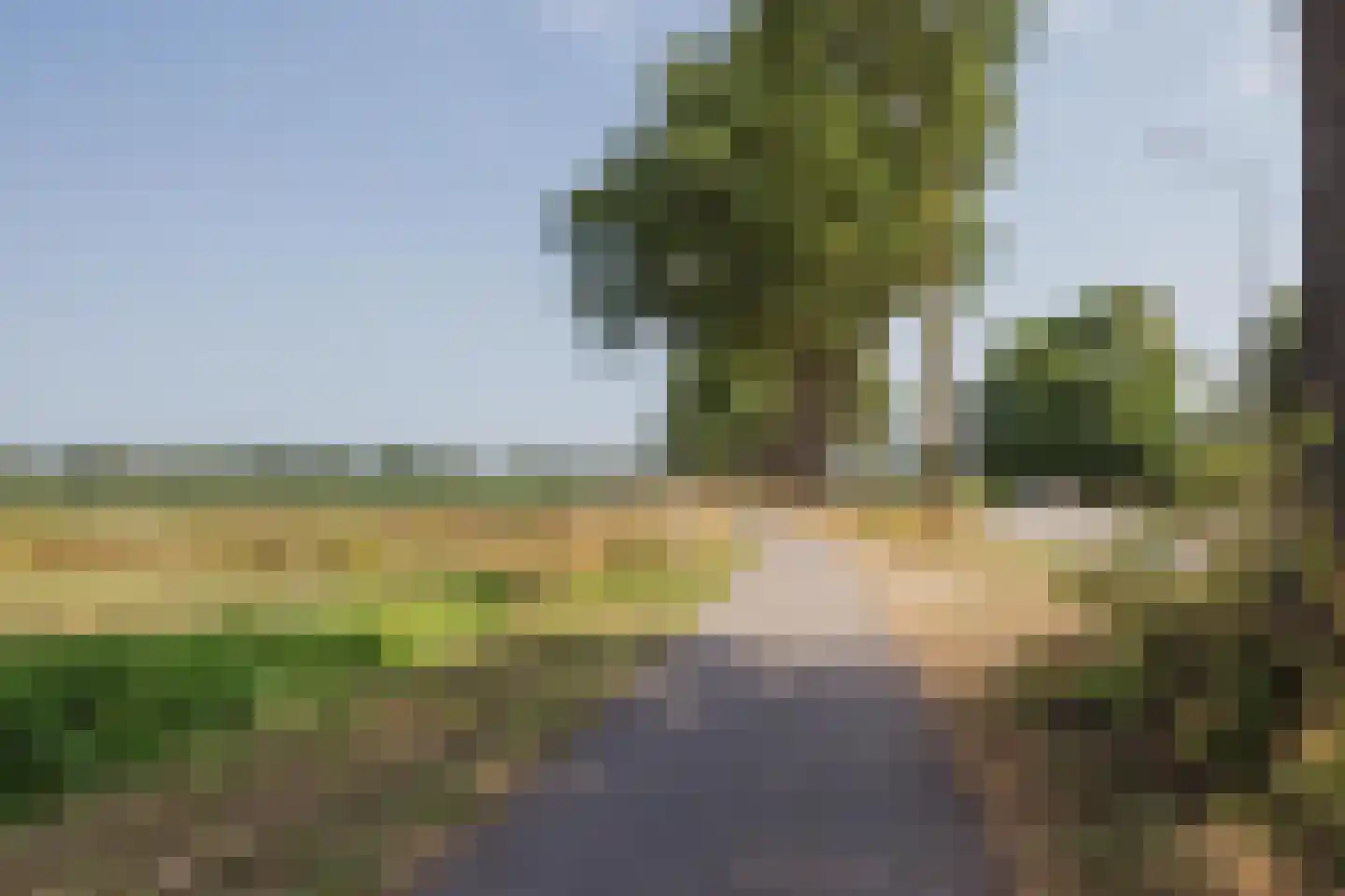Tienrayseweg 34 Horst thumbnail 68