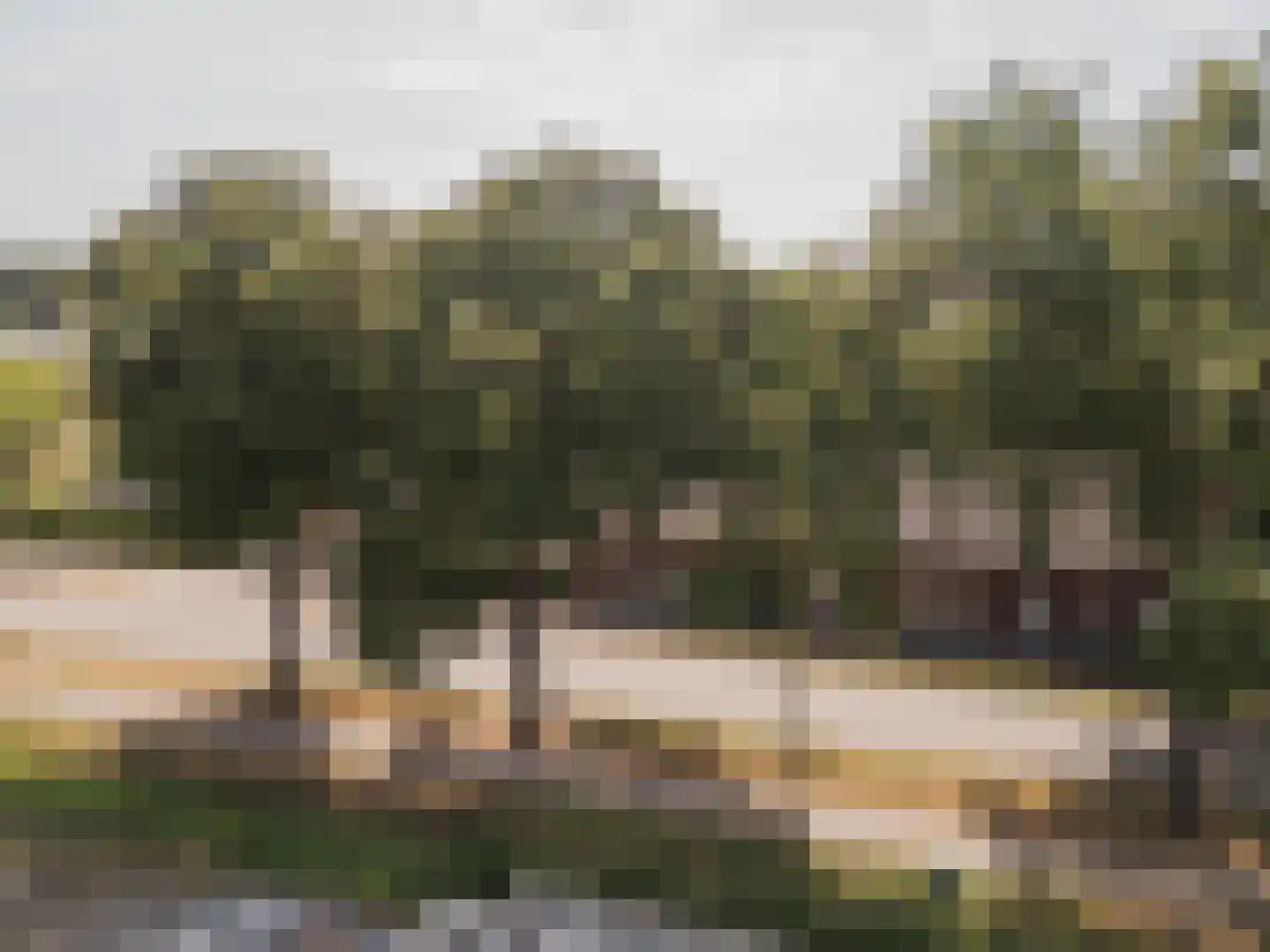 Tienrayseweg 34 Horst thumbnail 7