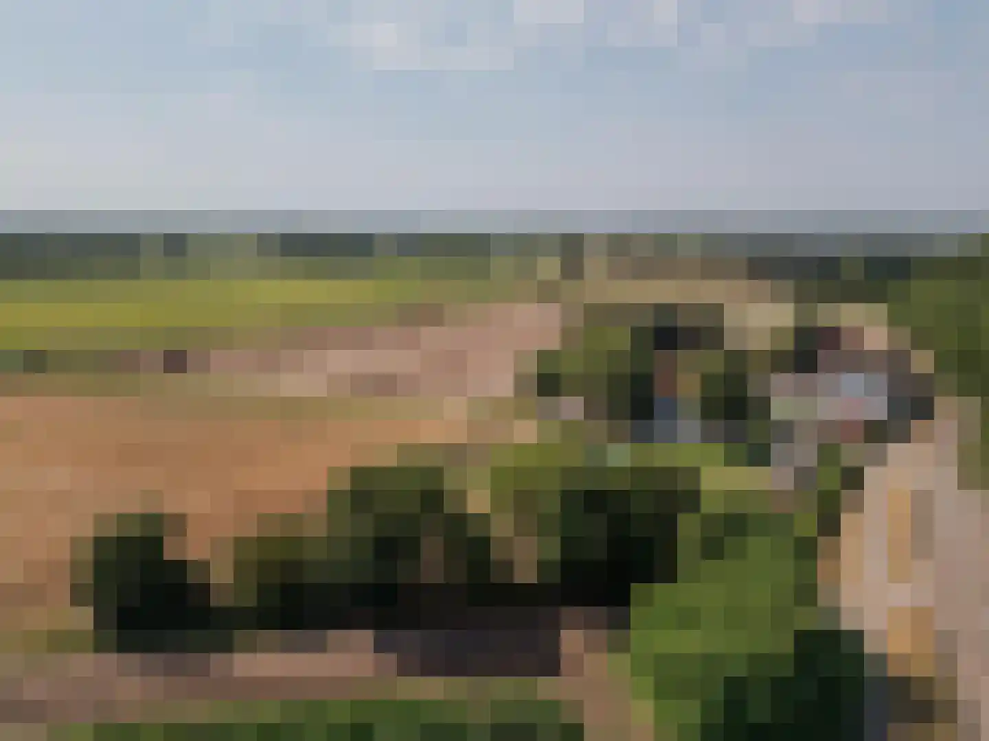 Tienrayseweg 34 Horst thumbnail 71