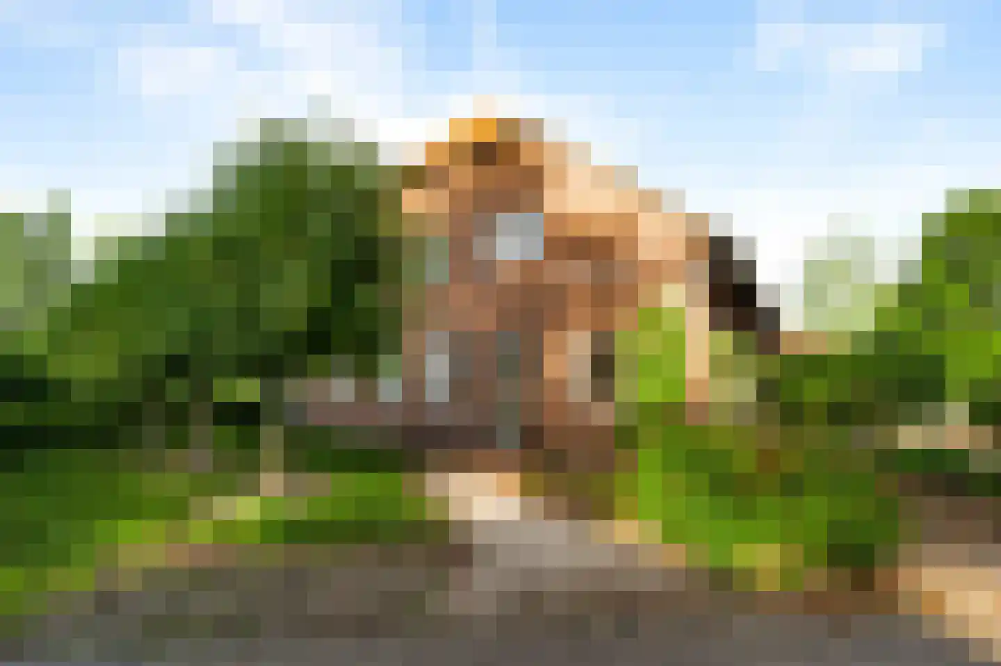 Tienrayseweg 9 Horst thumbnail 11