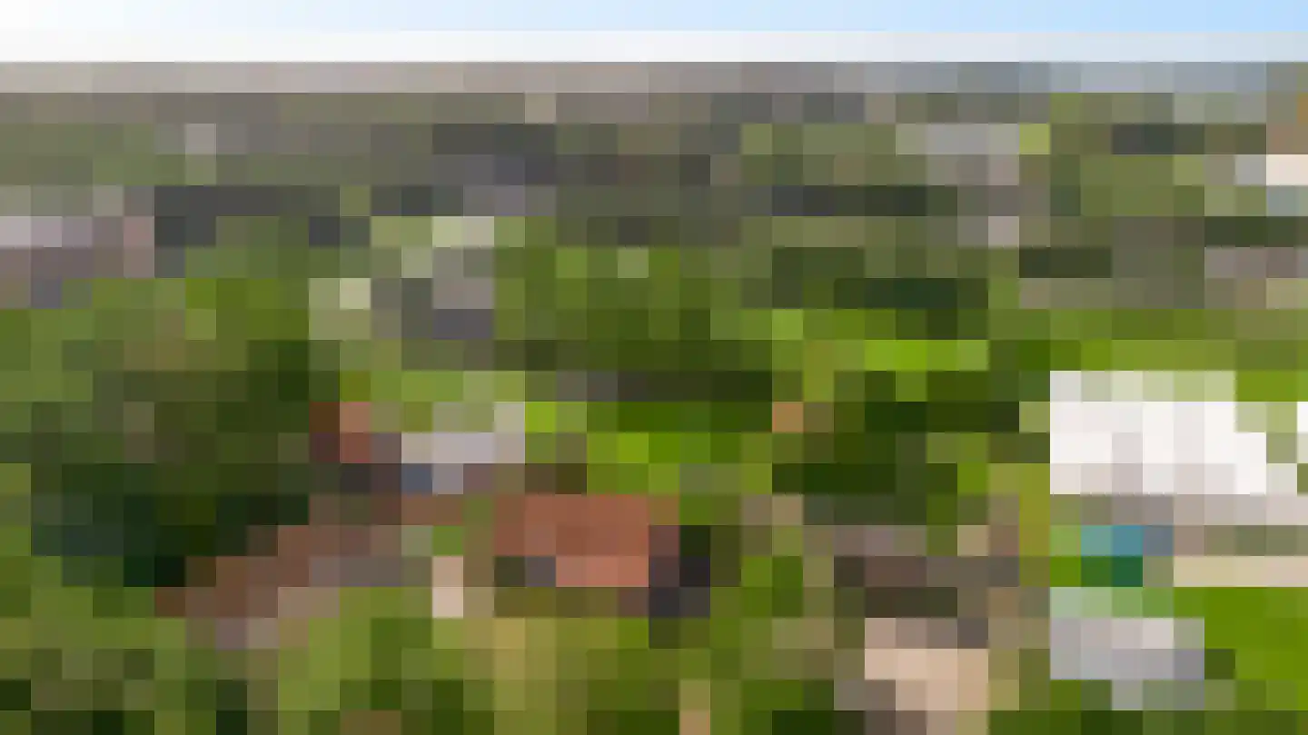 Tienrayseweg 9 Horst thumbnail 111