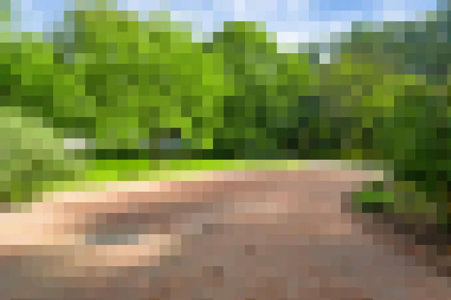 Tienrayseweg 9 Horst thumbnail 14